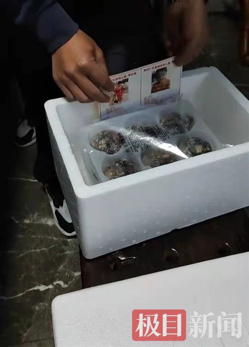 孫海洋跨界餐飲 以包子為媒，將尋親信息送入千家萬戶